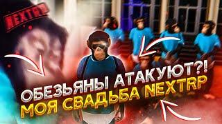 РАЗБУДИЛИ ЕРЖАНА l САМАЯ НАСТОЯЩАЯ СВАДЬБА НА НЕКСТ РП (NEXT RP)