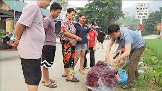 Man lives alone taking care of wild boars and selling pork. Robert | Green forest life