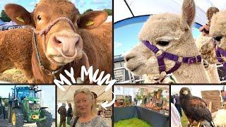 My biggest market yet! The Liskeard Show, Cornwall