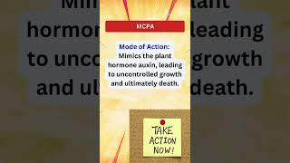 MCPA Herbicide #weedremoval