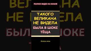 Такого я ещё не видела, с восхищением кивала тёща...Интересные истории из жизни. Аудиорассказ