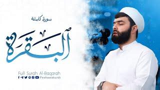 سورة البقرة كاملة للقارئ بيشةوا قادر الكردى #رمضان_2024 -Sourate Al Baqara - Peshawa Al Kurdi