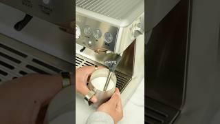 milk frothing tutorial on the breville barista express