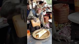 Unique dish monkey chef pouring source on Kati roll #shorts #new #monkey #food #content