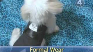 How To Butch-Up Your Male Dog