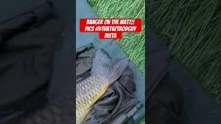 @DNADIGITALTV #hiphop #carpy #dnabaits #thebug #carpy #carp #carpfish #6ftrodsquad #fishing #fyp