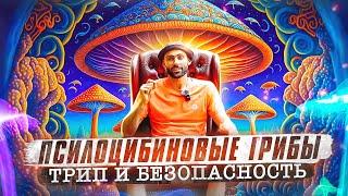 ПСИЛОЦИБИН или ПУТЕШЕСТВИЕ В МИР ГРИБОВ | БЕЗОПАСНОСТЬ В ТРИПЕ | ПОЗНАЙ ИХ ПОТРЯСАЮЩУЮ СИЛУ И ТАЙНУ!