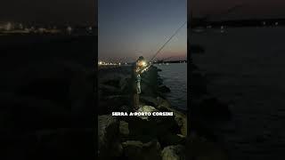 serra a spinning #fishing #bluefish