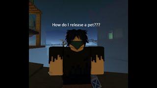 How to let go of a pet (Rune Slayer Roblox)