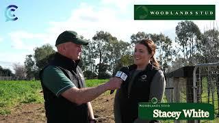 Campbells Comments with Stacey White from Woodlands Stud New Zealand