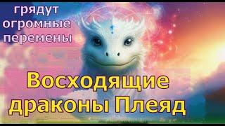 Восходящие драконы Плеяд - грядут огромные перемены