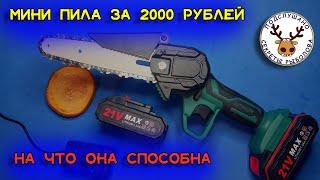 Мини пила аккумуляторная за 2000 рублей  Что может мини-пила  Собираю пилу вместе с вами