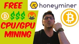 Honeyminer Review - How much money can you make with Honeyminer