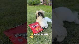 Ele só queria comer