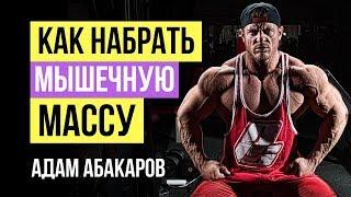 Как набрать мышечную массу? Как правильно набирать мышечную массу: Адам Абакаров для Body-Pit.Ru