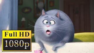 The Secret Life of Pets (2016) - Max Trashes The House (1/10)