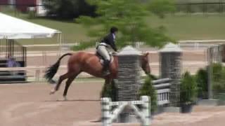 Video of COUP DE COEUR ridden by CLARE SARGENT from ShowNet!