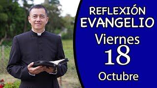 Evangelio de Hoy Viernes 18 de Octubre de 2024  Lectura y Reflexión