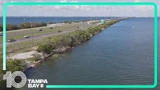 Concerns grow about Tampa Bay's water quality after storms, red tide and a looming political shift