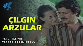 Çılgın Arzular - Türk Filmi