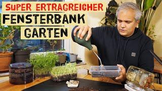 So kannst du auch im Winter auch ohne Garten ernten. Anbautipps für Keimsprossen und Microgreens