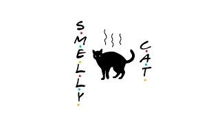 Phoebe Buffay - Smelly Cat 2022 (Phoebe Buffay  - Friends) (Shoting by Santa Calibri)