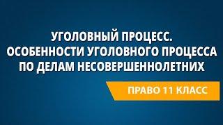 Уголовный процесс. Особенности уголовного процесса по делам несовершеннолетних