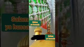 salam ya hussain | molana aqeel ali hamdani