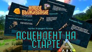 Как получить АСЦЕНДЕНТ на 1 Уровне Ark Survival Evolved Mobile