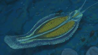 Timorebestia - The Giant Cambrian Worms