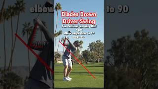 PERFECT Blades Brown Driver Swing Slow Motion #golf #golfswing #golfer #golftips
