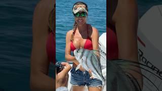 Roosterfish  in paradise