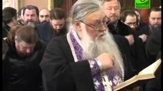 Липецкие священники подали пример своей пастве