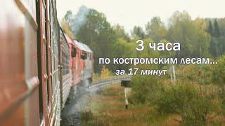 Пригородный поезд Галич - Кострома. Поездка по заповедной железной дороге.