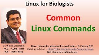 Linux_1 - Common Linux commands - including pwd, cd, ls, ls -l, mkdir, touch, cat, grep etc.