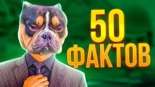 50 ФАКТОВ про ВОЛОДЮ. (KXRVINHO)