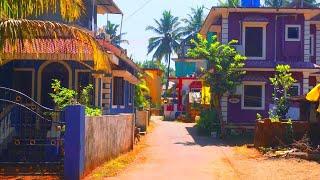 Morning in the village. Mandrem. 4K. Goa. India. April 2023