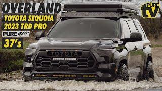 PURE TV: 3rd Gen Toyota Sequoia on 37's Walk Around Overland Build TRD Pro, Toyo Tires, Baja Designs