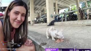 Cutest baby Kitty is really hungry #12 - Justketh