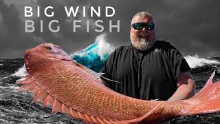 HURRICANE FISHING FOR BIG SNAPPER!