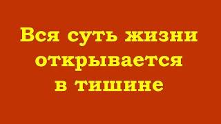 Вся суть жизни открывается в тишине, когда в голове нет ни голоса, ни образов