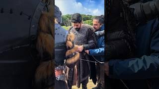 Behind the scene of kurulus Osman🫰 #trending #youtube #shorts #bts