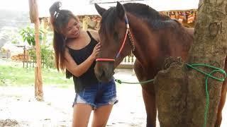 Girl Training Her Horse At Farm DariyaTube