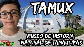 Vamos a recorrer el Museo de Tamux