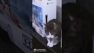 Upgrading Your PS5 Hardrive is a No Brainer #ps5