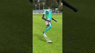 Training a #robot to work in our world #science