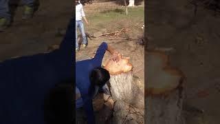 Yashirin kamera otindi yorvordi dostim