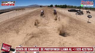 Tucan vs Ricolina - Photo Finish Camera Sales