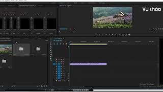 học dựng phim bằng adobe premiere, dựng phim chuyên nghiệp