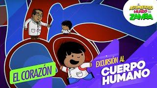 El corazón - Excursión al cuerpo humano